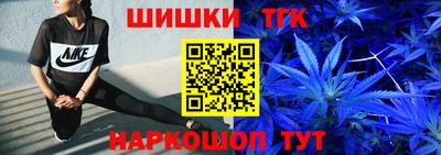 гашик Будённовск