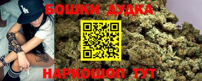 гашик Будённовск