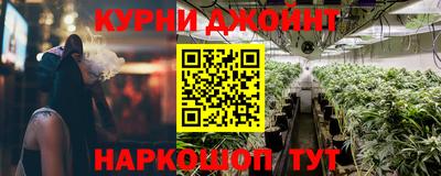 шишки Бузулук