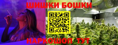 гашик Будённовск