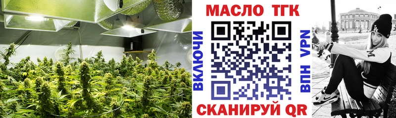 ТГК гашишное масло  ОМГ ОМГ ТОР  Гусь-Хрустальный 